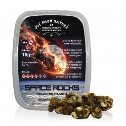 Trufas Psilocybe Atlantis