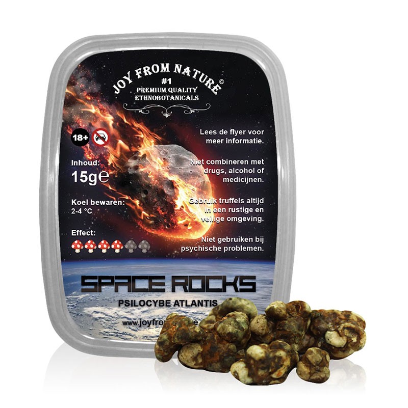 Trufas Psilocybe Atlantis